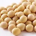 女性ホルモンを整える発酵大豆イソフラボン